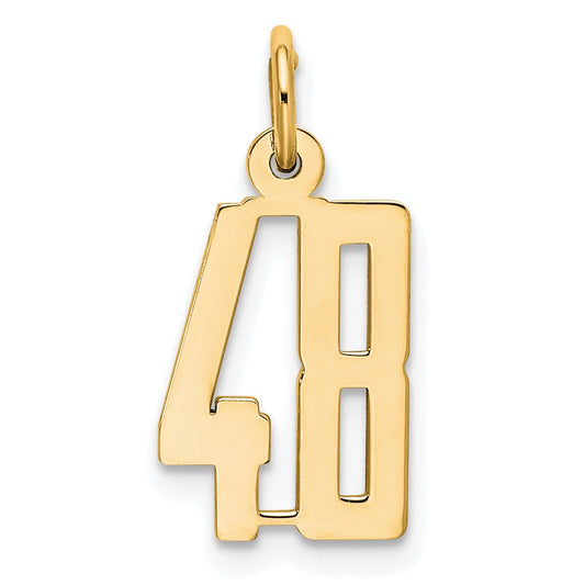 14k Small Elongated Number 48 Charm