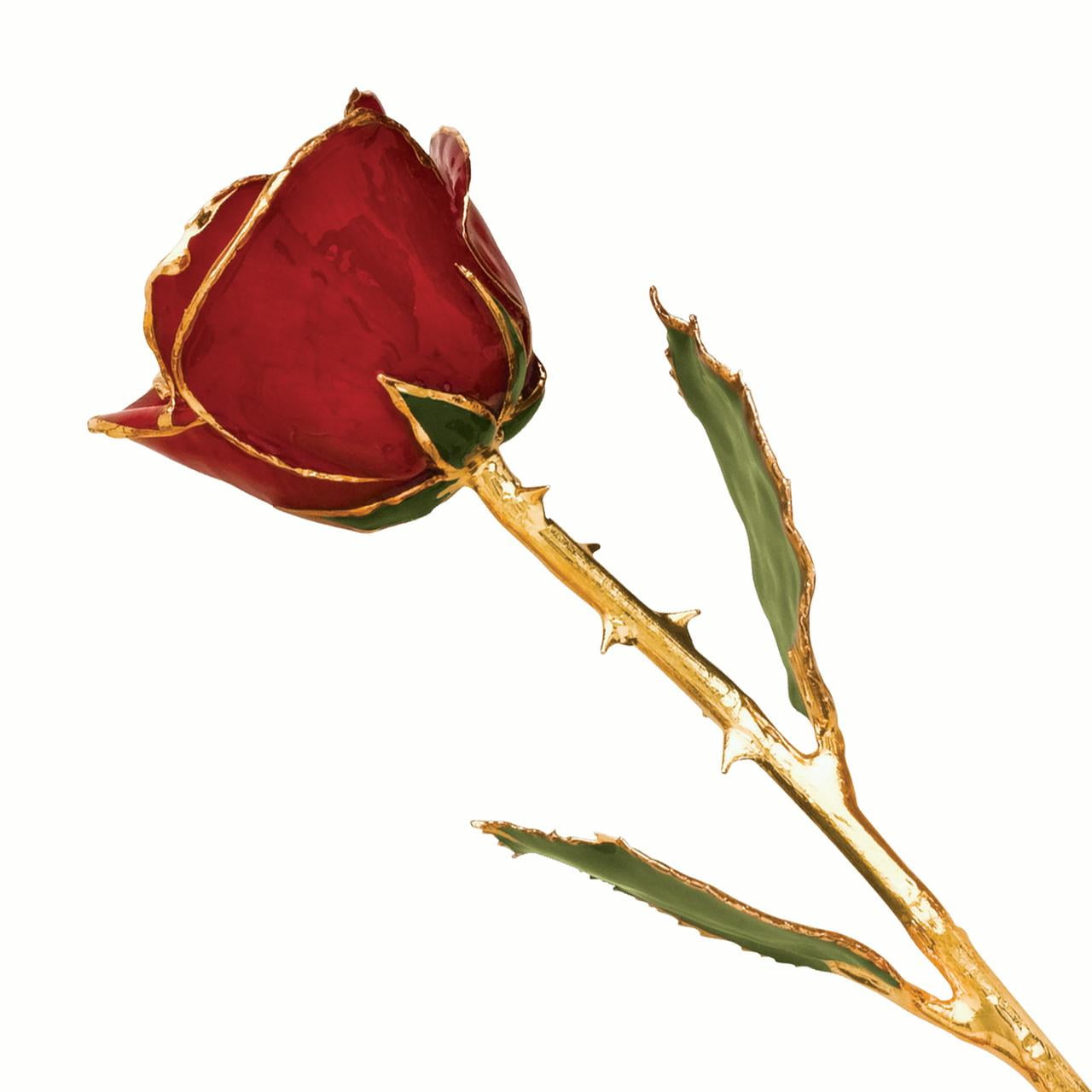 24k Gold Plated Trim Red Rose