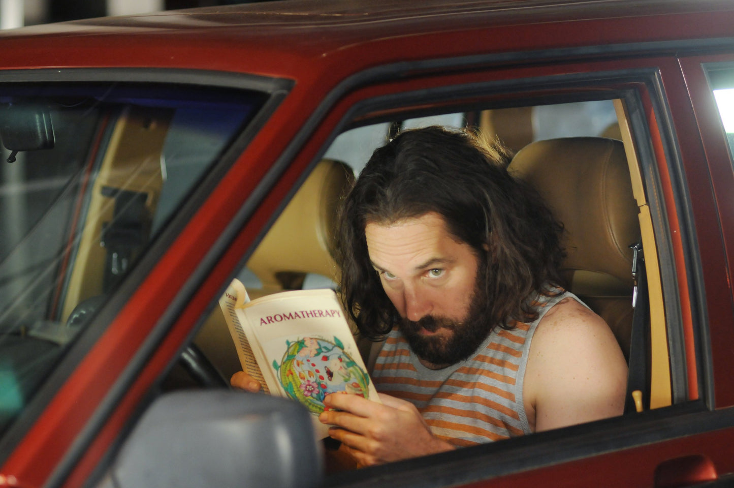 Our Idiot Brother (Blu-ray), TWC, Comedy