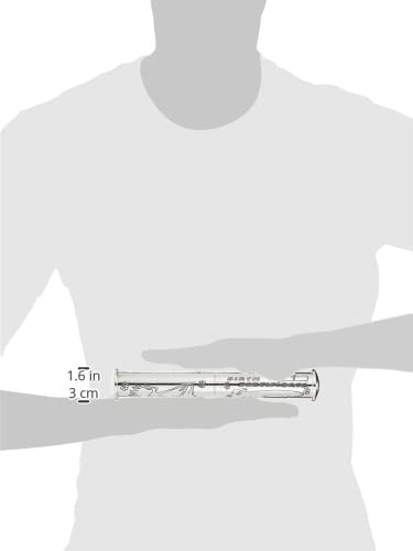 Birth Certificate Holder, Silver