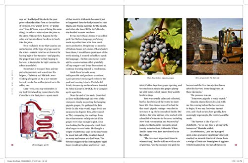 Cheese, Wine, and Bread: Discovering the Magic of Fermentation in England, Italy, and France [Hardcover] Quinn, Katie