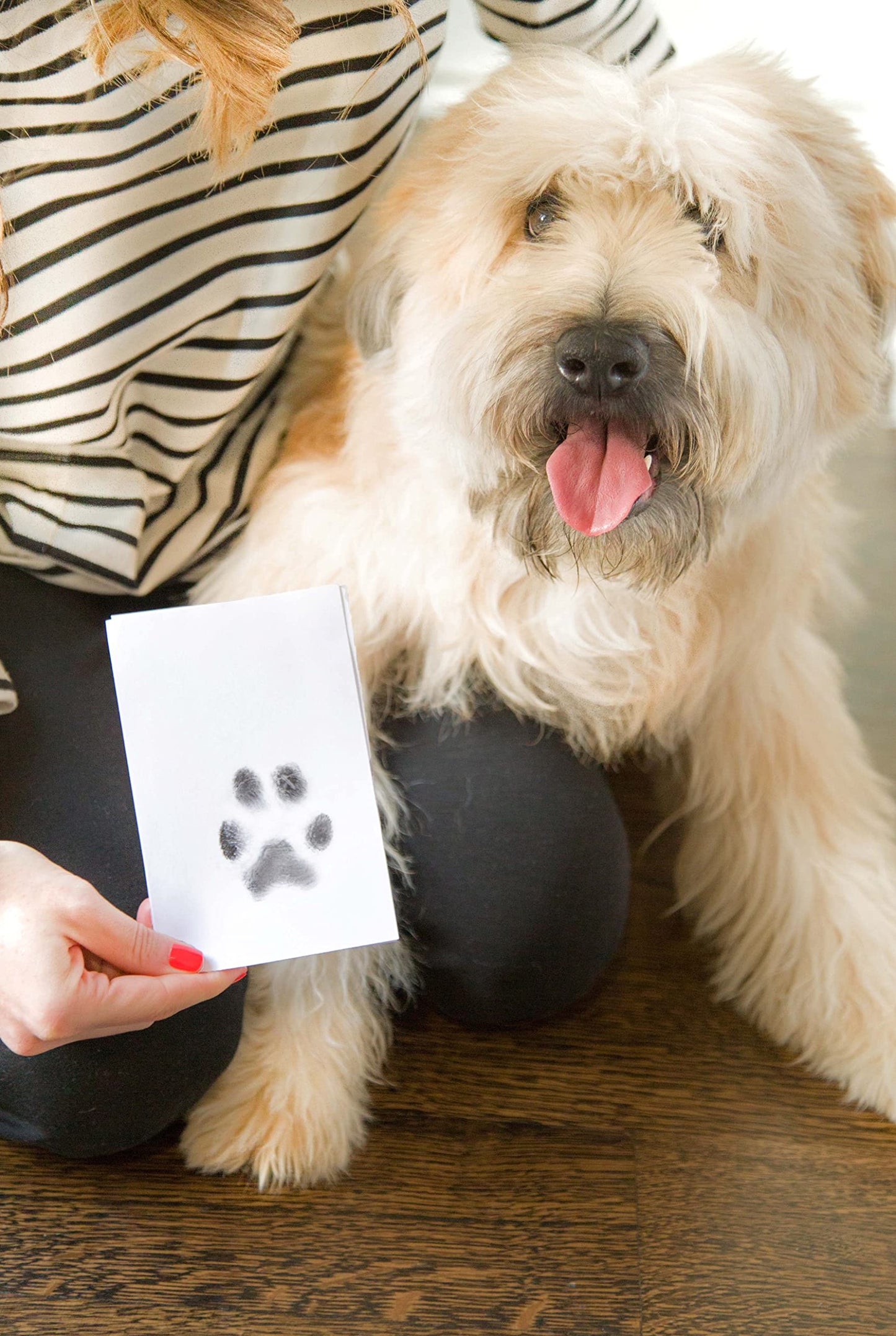 Pearhead Pet Paw Print Clean-Touch Ink Pad Kit with Imprint Cards for Cats or Dogs, Black