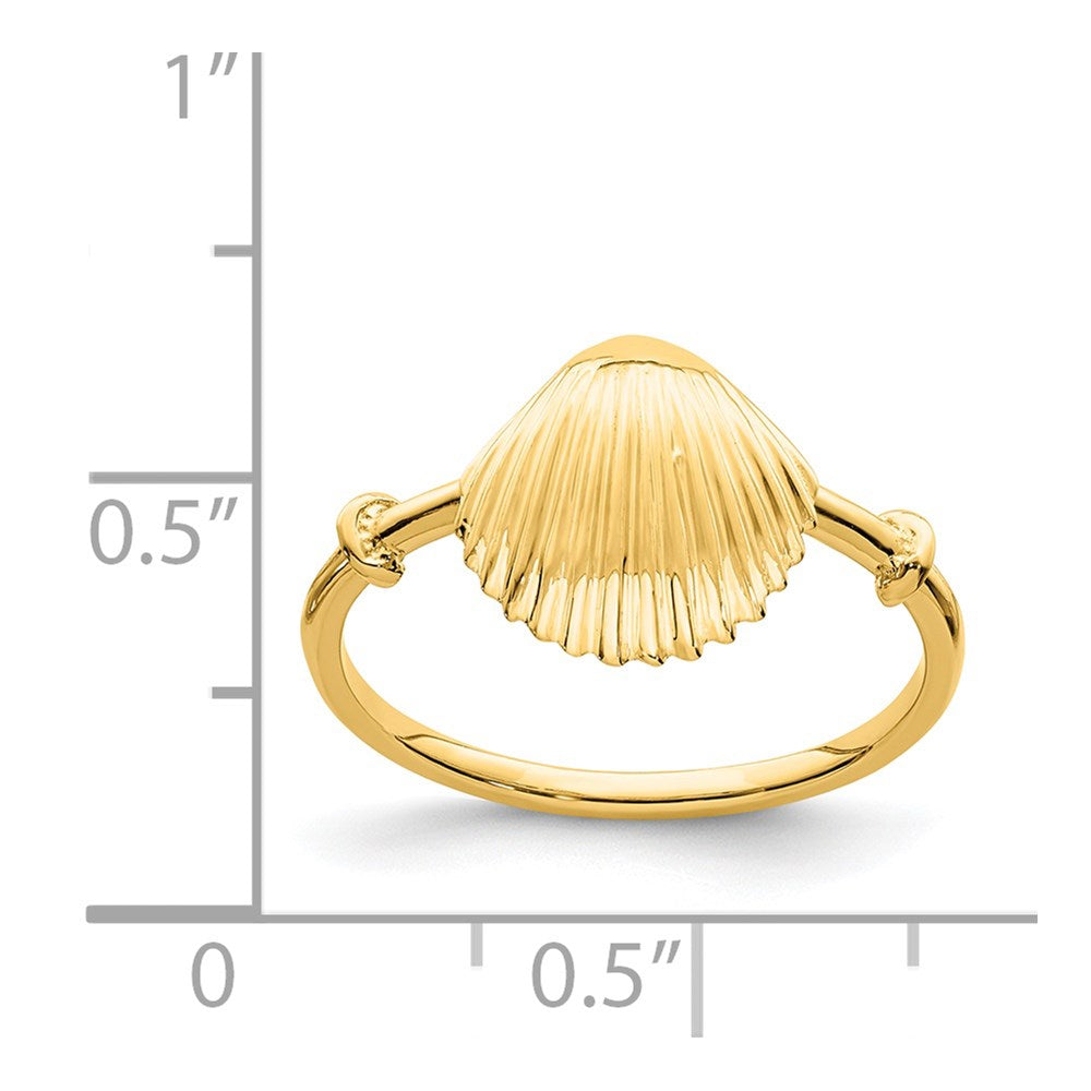 14K Polished Shell Ring Size 5