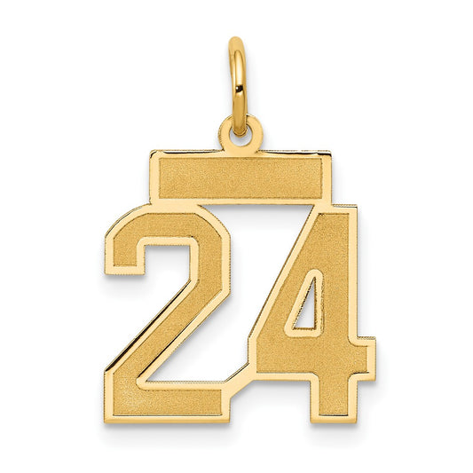 14k Small Satin Number 24 Charm