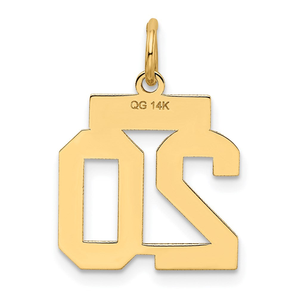 14k Small Satin Number 20 Charm