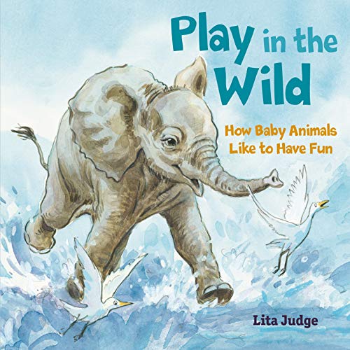 Play in the Wild: How Baby Animals Like to Have Fun [Hardcover] Judge, Lita