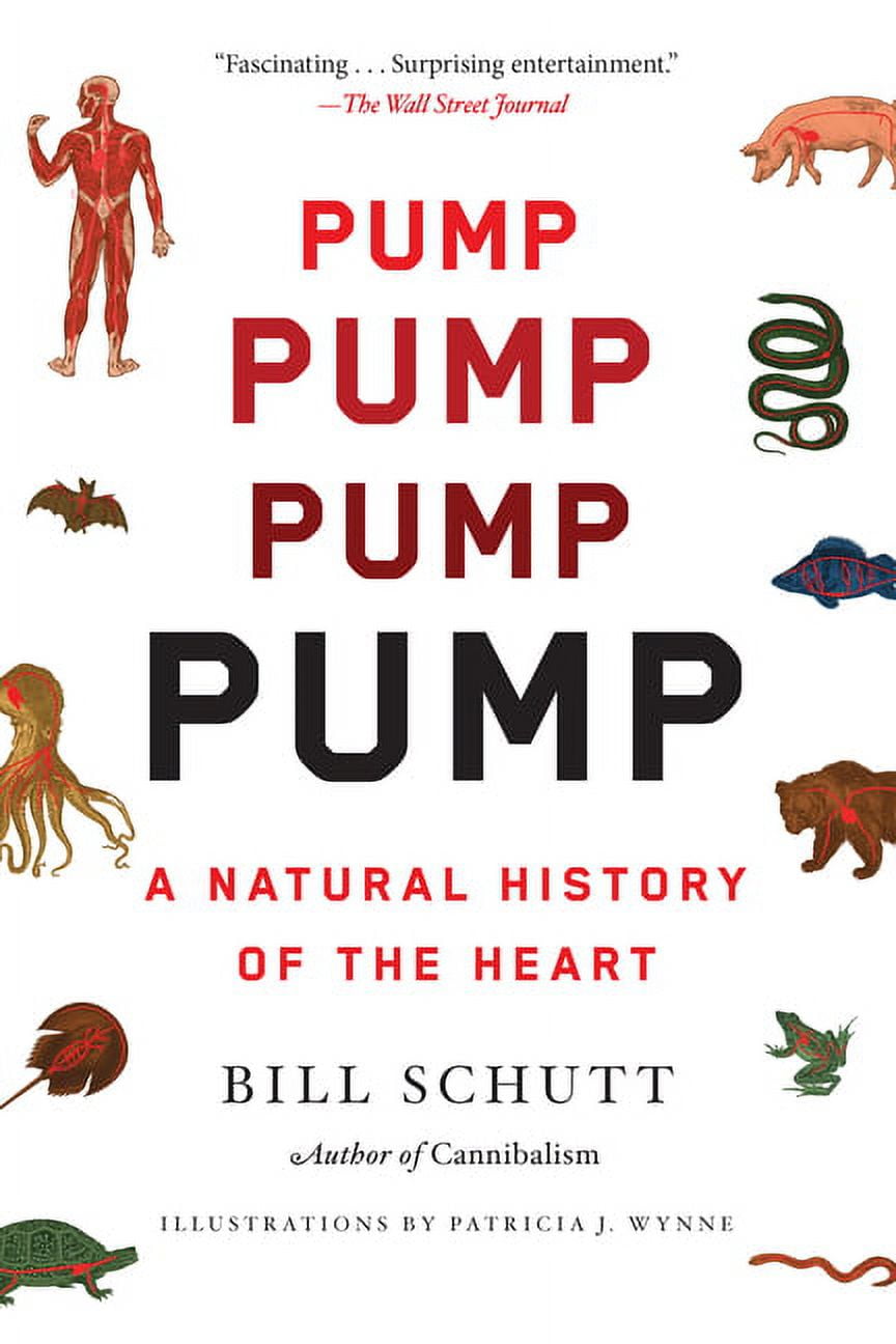 Pump : A Natural History of the Heart (Paperback)