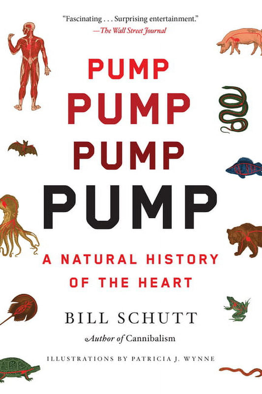Pump : A Natural History of the Heart (Paperback)