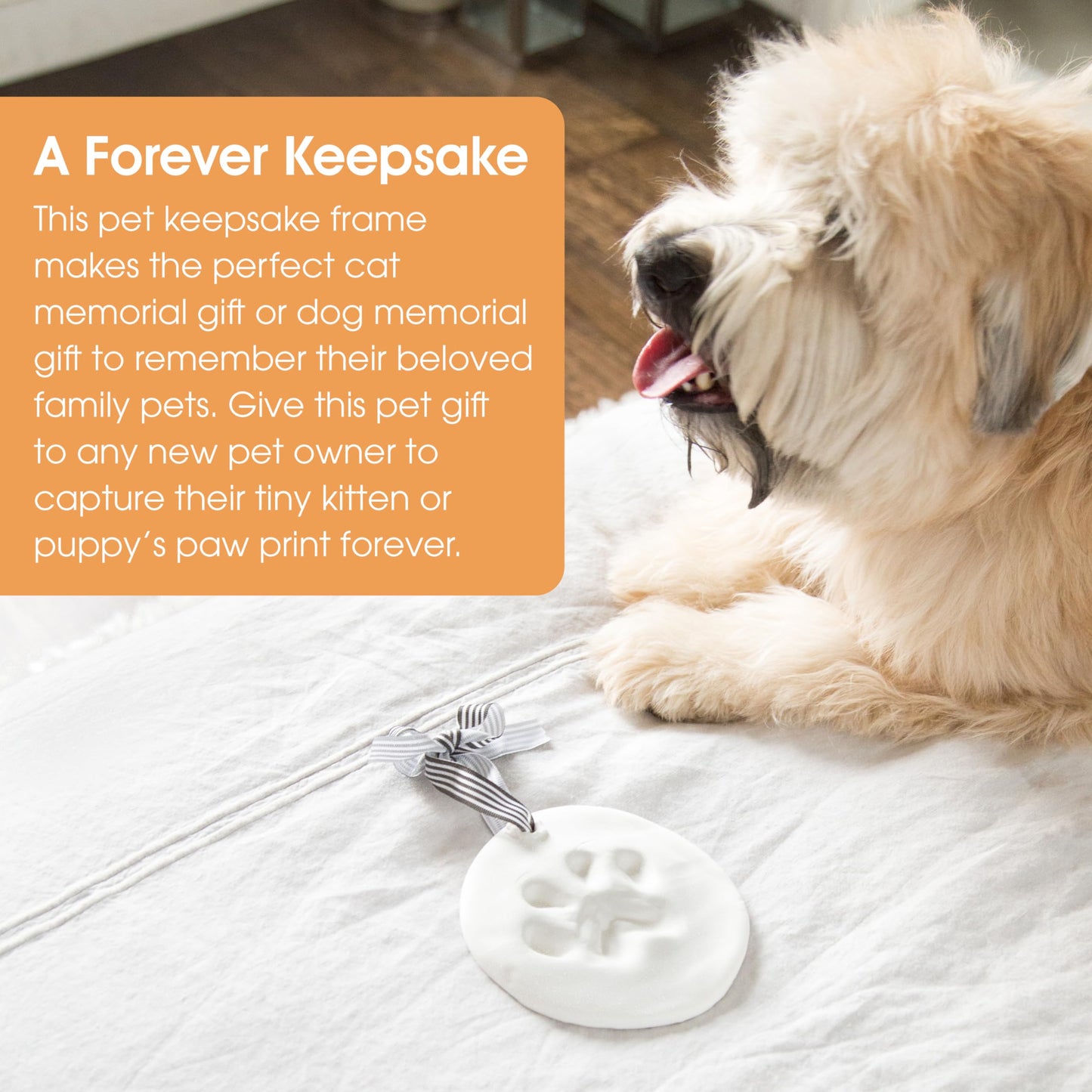 Pearhead Pet Pawprint Keepsake Kit for Dogs or Cats, Includes Impression Material, 5”Wx5”H