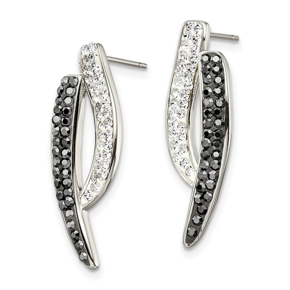 Stainless Steel Polished Post Black and Clear Crystal Earrings