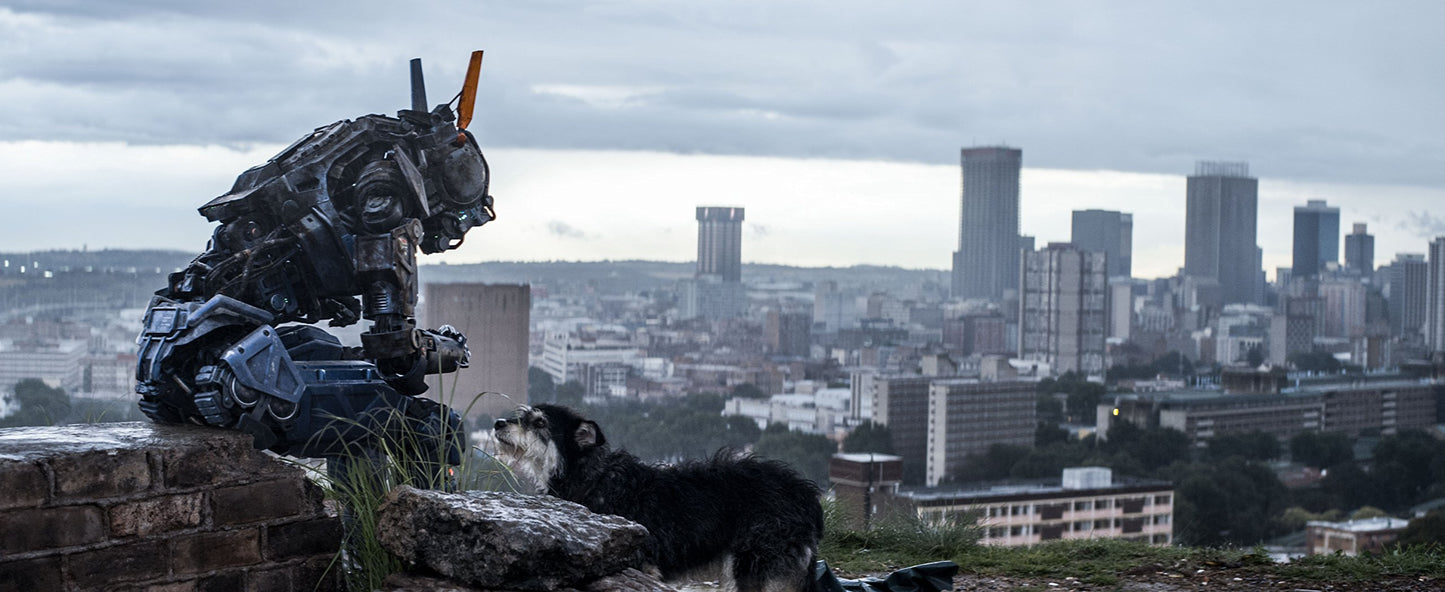 Chappie (DVD), Sony Pictures, Sci-Fi & Fantasy