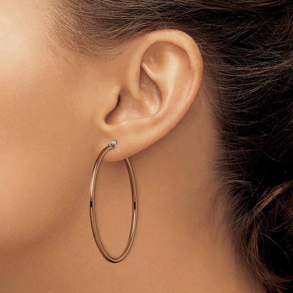 Stainless Steel Polished Brown IP-plated 48mm Diameter Hoop Earrings