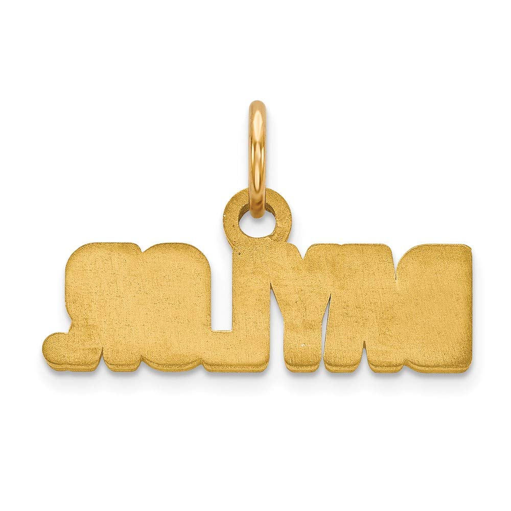 10k Gold LogoArt Baylor University Extra Small Pendant Q1Y036BU
