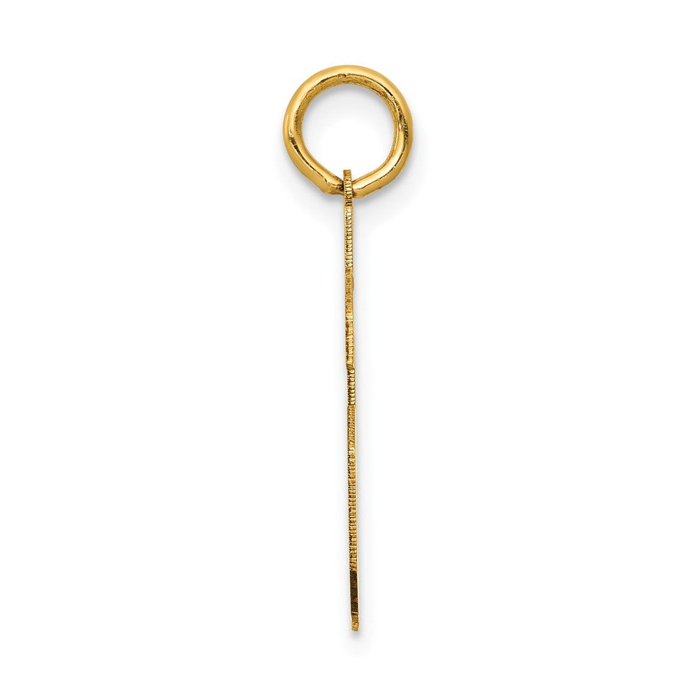 14k Medium Satin Number 46 Charm