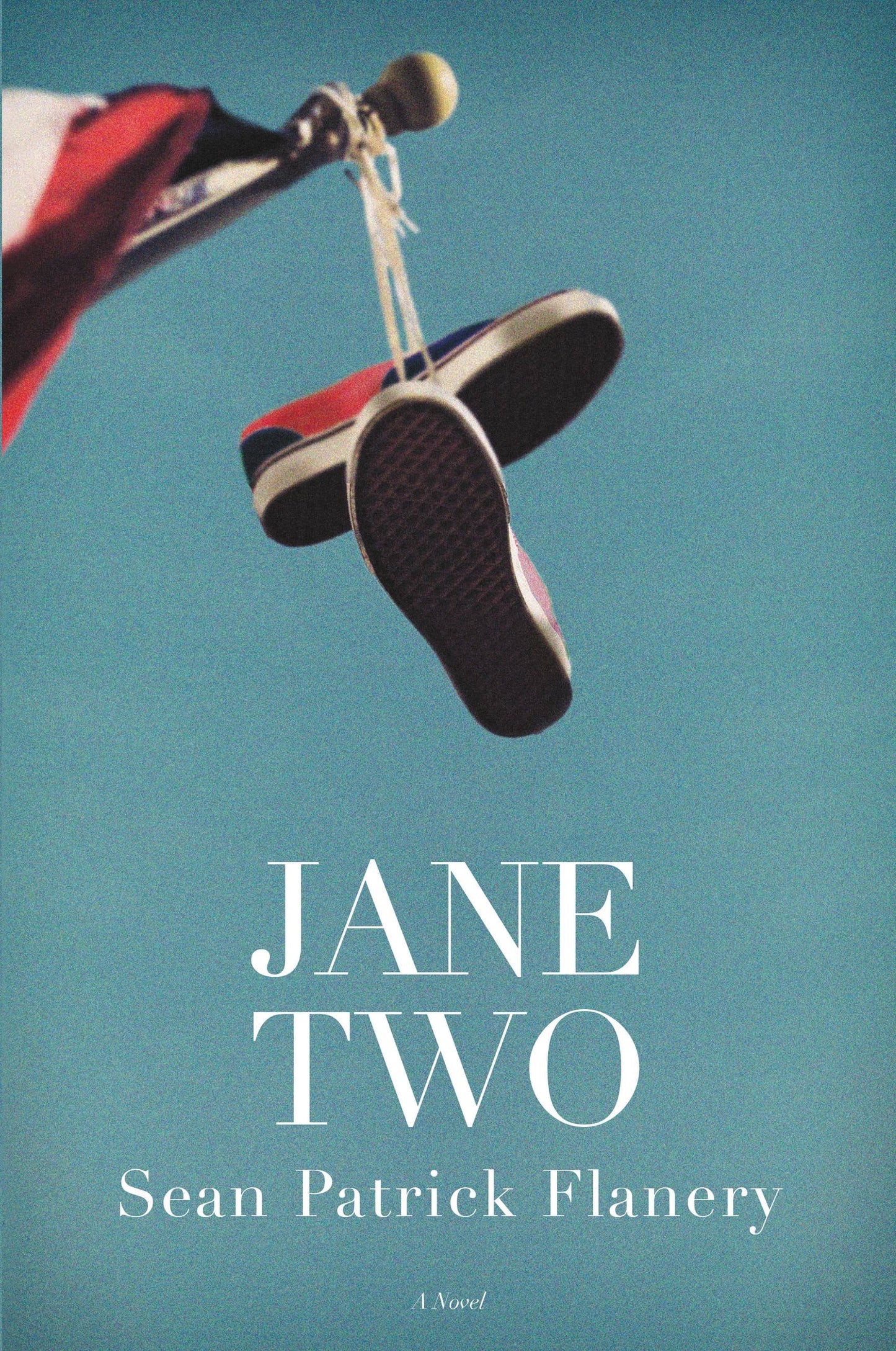 Jane Two : A Novel (Hardcover)