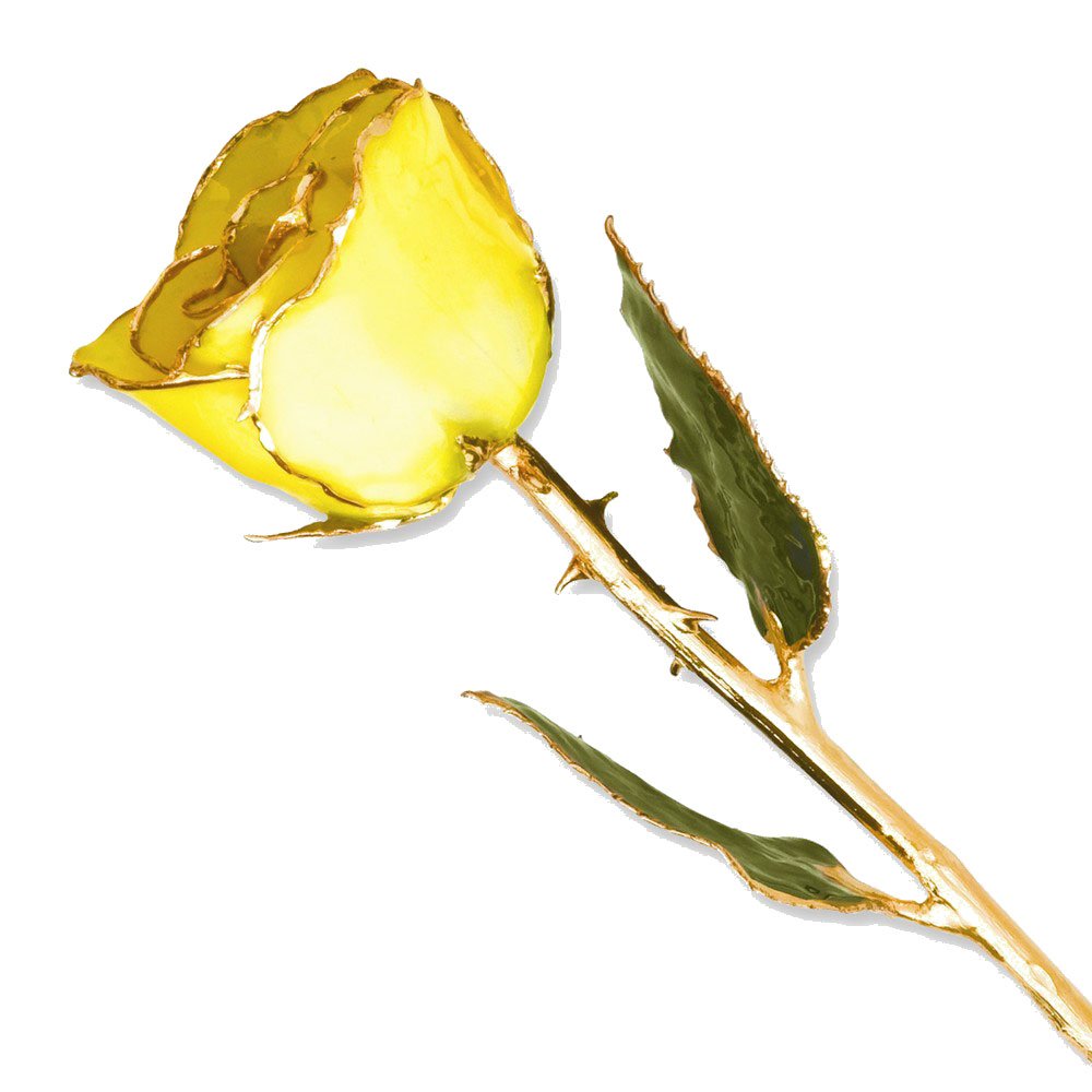 Lacquer Dipped 24k Gold Plated Trim Yellow Rose