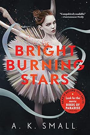 Bright Burning Stars [Paperback] Small, A.K.