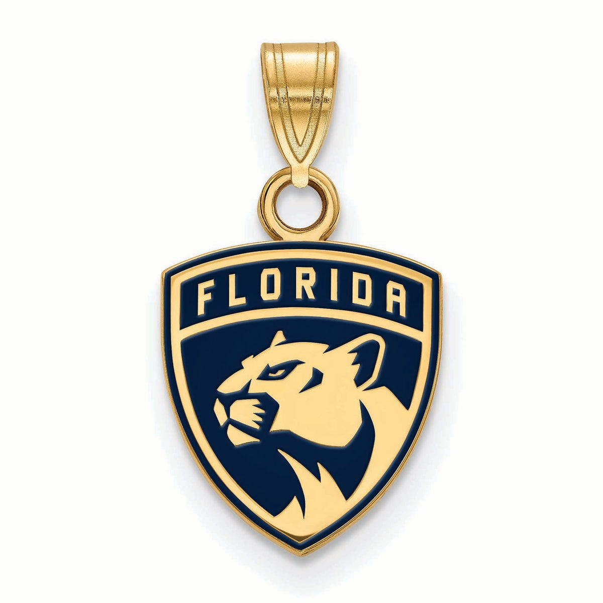 Women's Florida Panthers Gold Plated Small Enamel Pendant