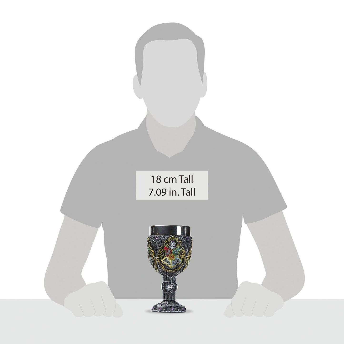 Enesco Wizarding World of Harry Potter Hogwarts Decorative Stainless Steel Resin Goblet 7in H