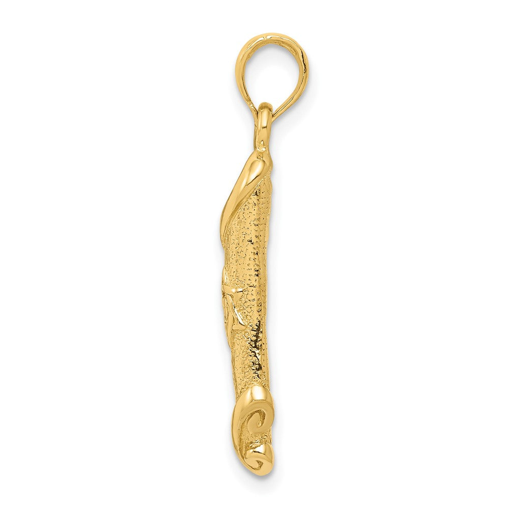 10k Torah w/Star of David Pendant