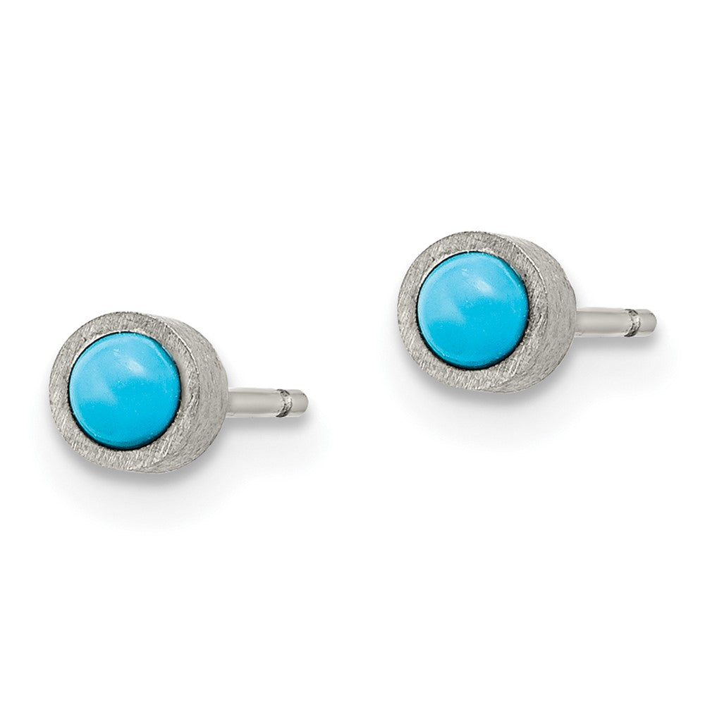 Titanium Brushed Turquoise 4mm Stud Earrings