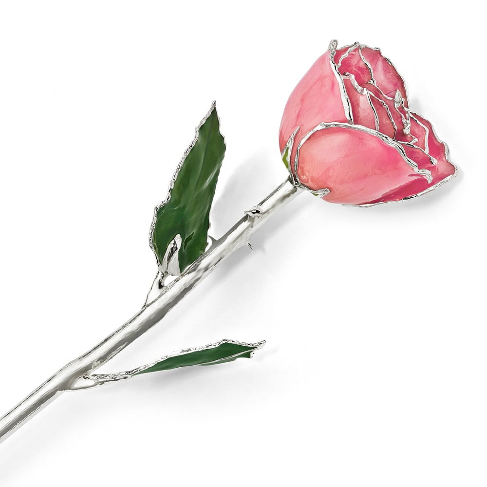 Lacquer Dipped Silver Trimmed Pink Rose