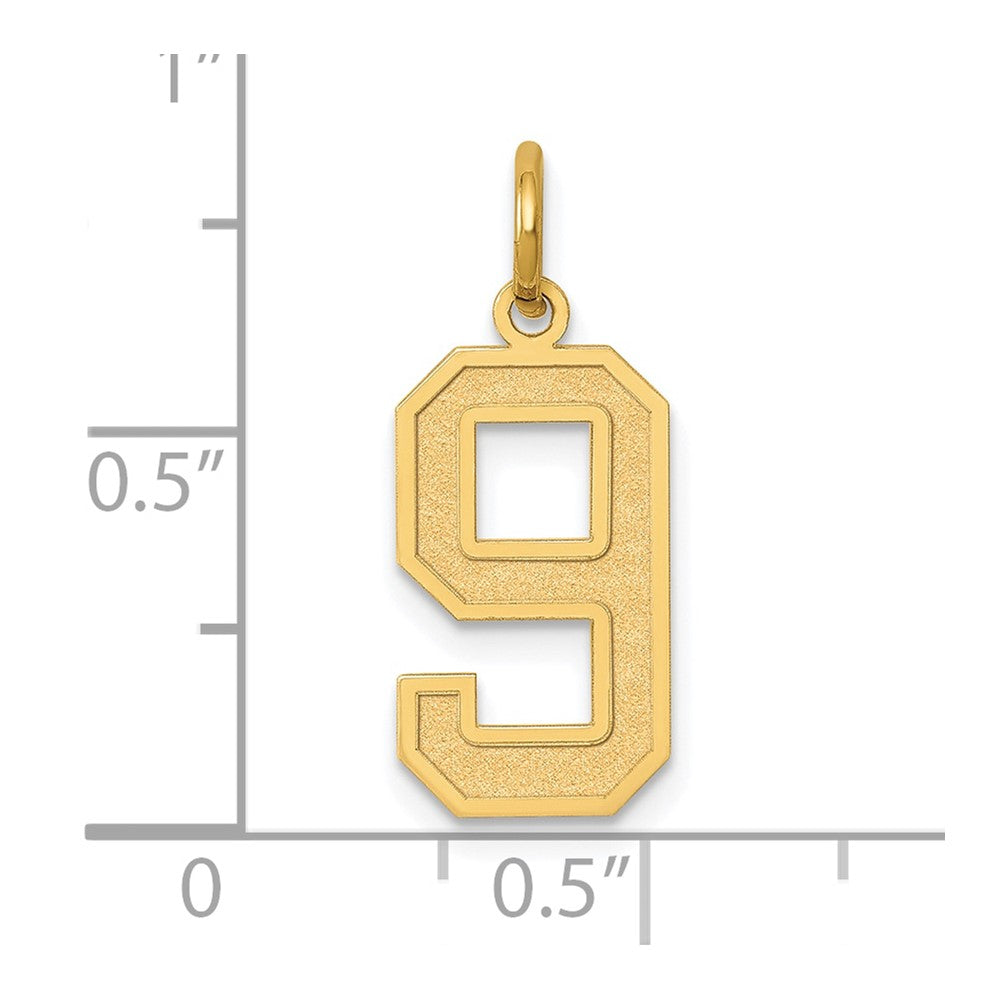 14k Medium Satin Number 9 Charm