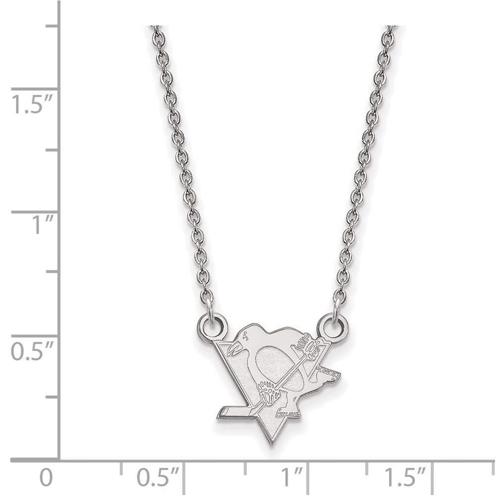 NHL Pittsburgh Penguins Sterling Silver Small Pendant with Necklace