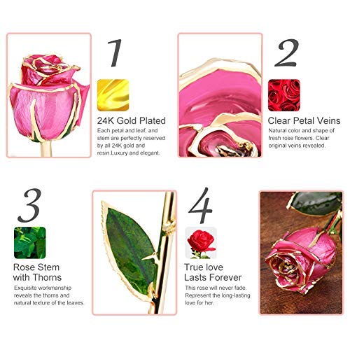 24k Gold Plated Trim Pink Rose