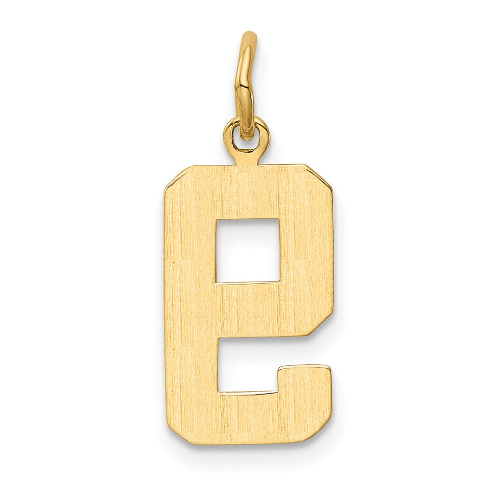 14k Medium Polished Number 9 Charm
