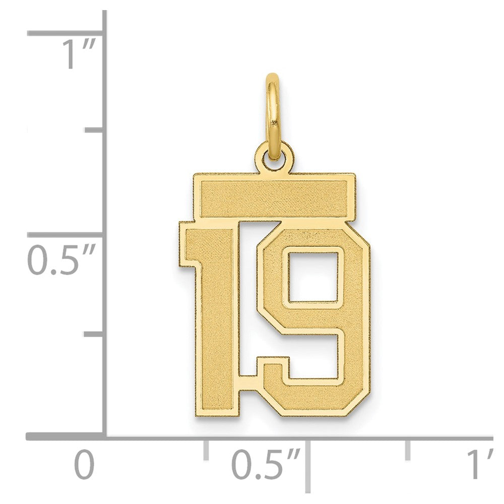 14k Small Satin Number 19 Charm