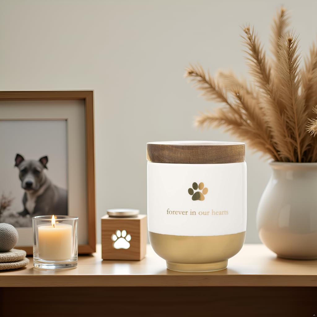 FOREVER IN OUR HEARTS Brown Ceramic Pet Memory Jar with Wooden Lid