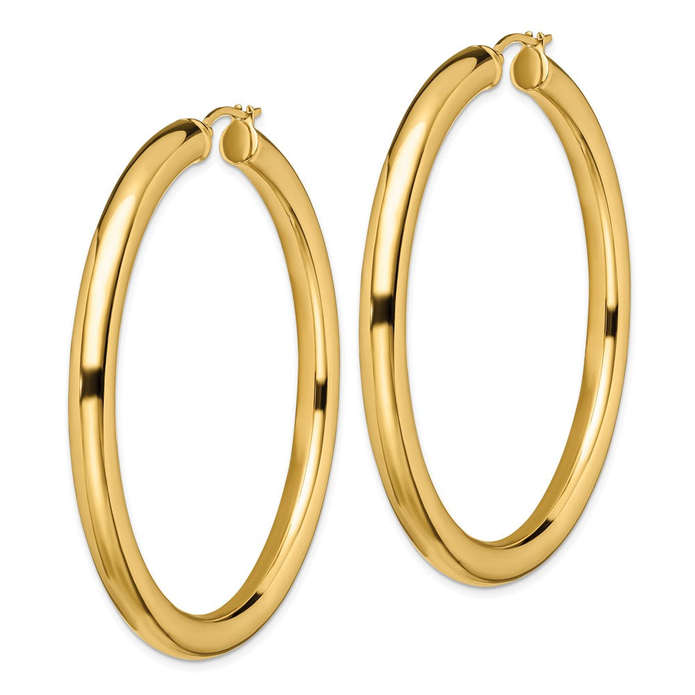 Stainless Steel Polished Yellow IP-plated Hoop Earrings
