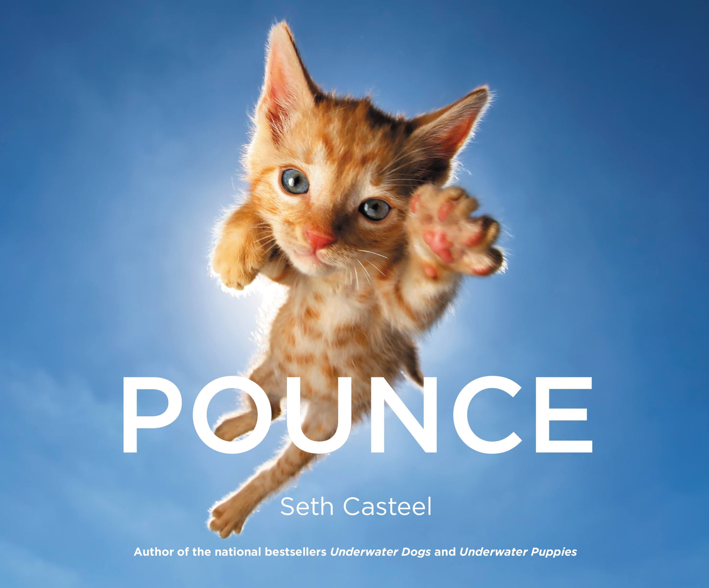 Pounce (Hardcover)