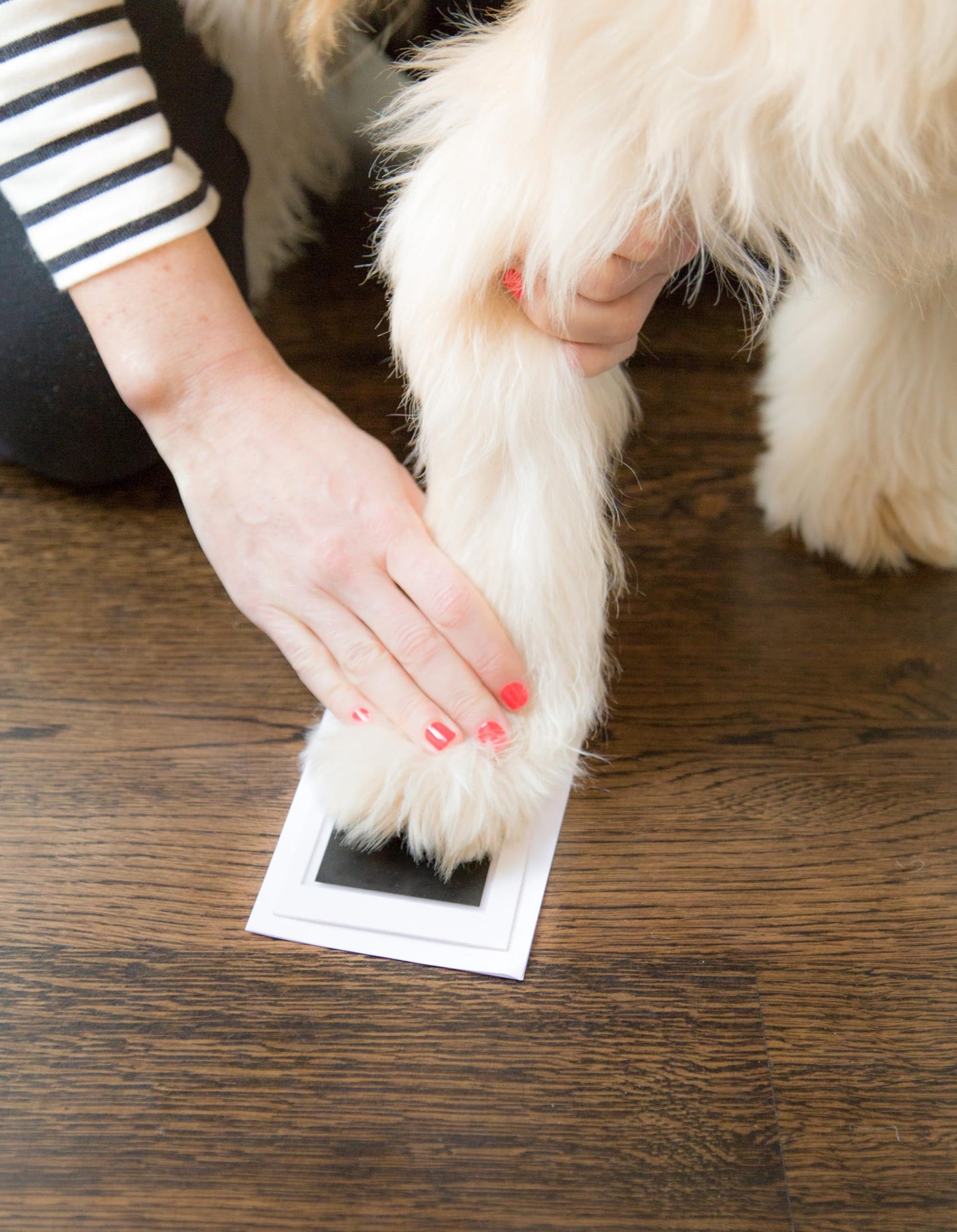 Pearhead Pawprints Double-Sided Photo Ornament and Clean-Touch Ink Pad