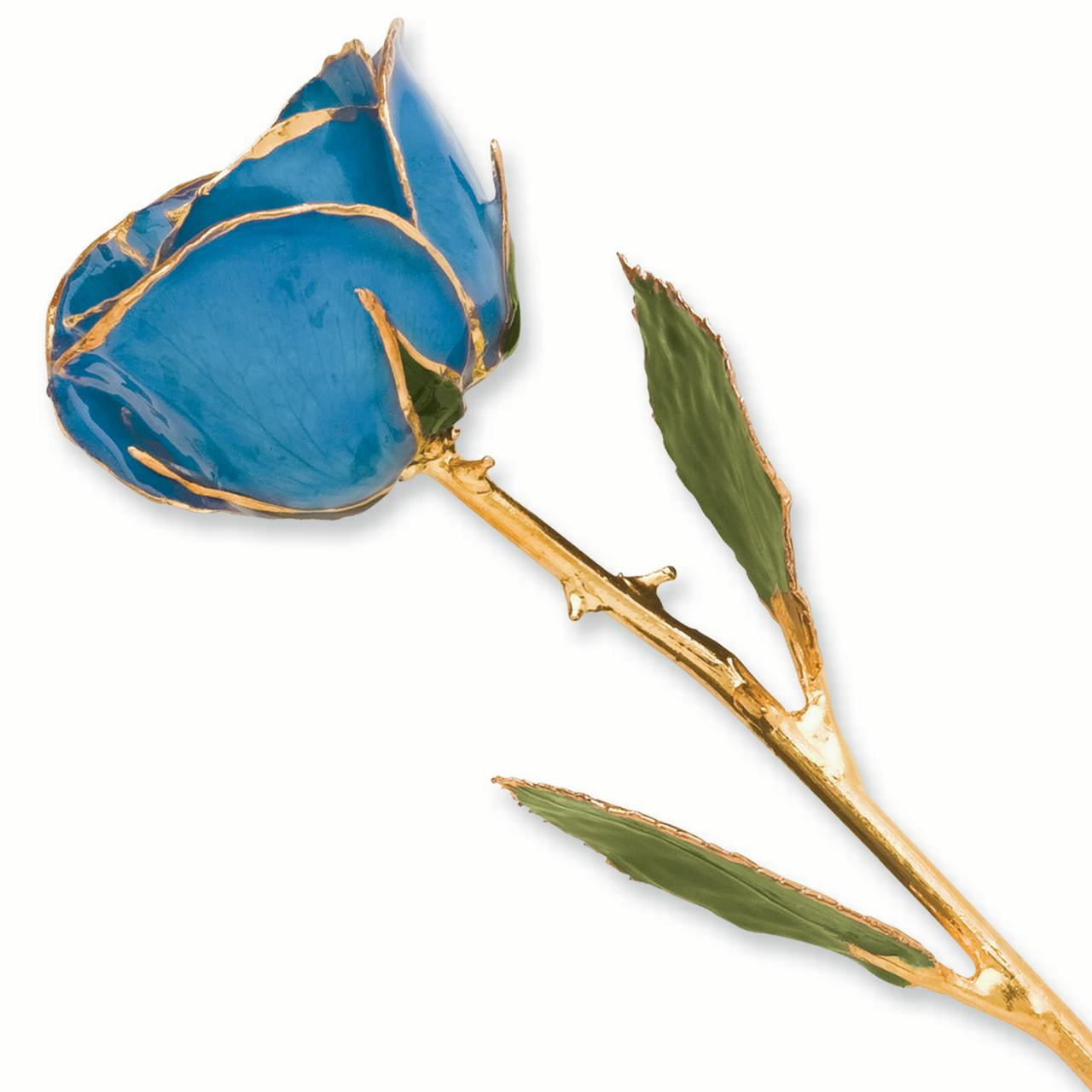 24k Gold Plated Trim Blue Rose