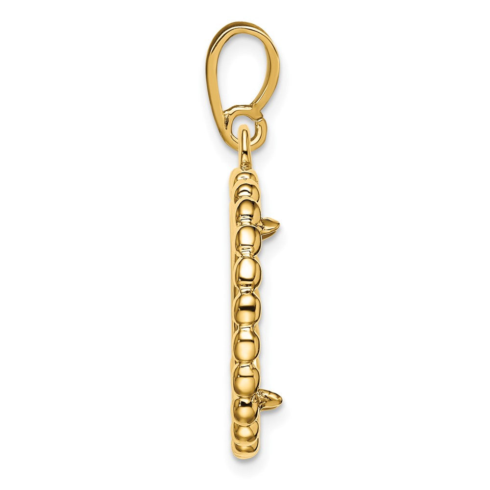 Wideband Distinguished Coin Jewelry 14k Polished with Beaded Edge 15.0mm Prong Coin Bezel Pendant