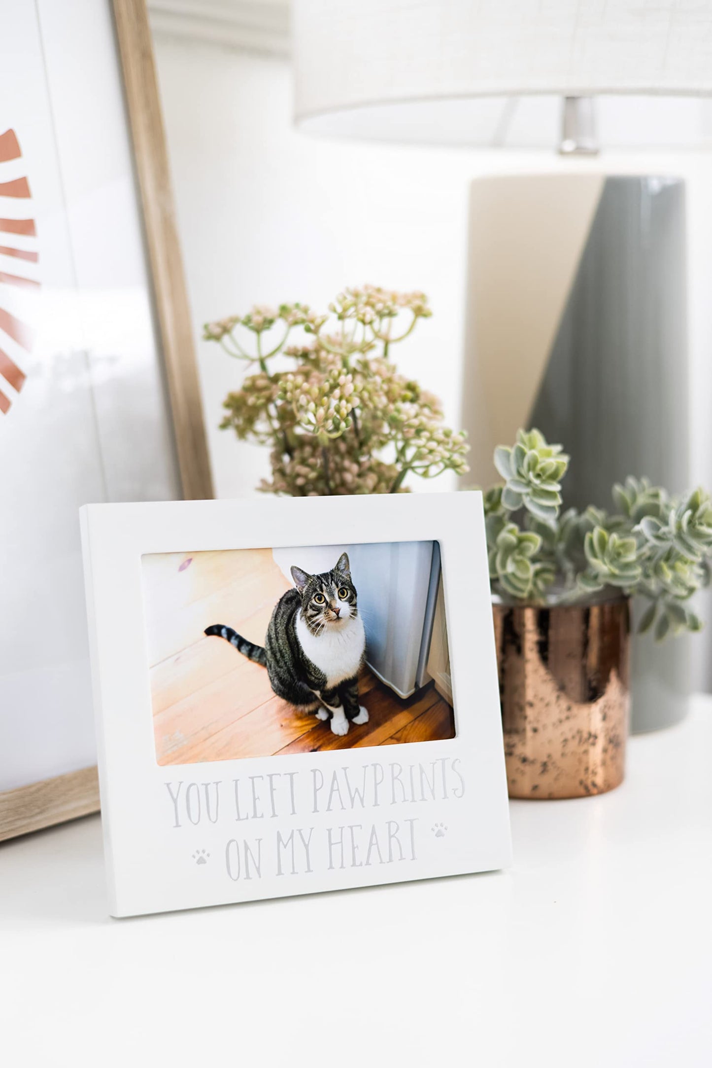 White Wooden YOU LEFT PAWPRINTS ON MY HEART Pet Remembrance 4x6 Photo Frame Q-GM20968