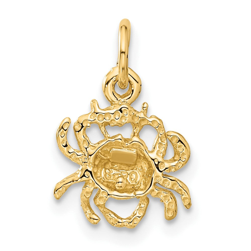 10k Cancer Zodiac Charm