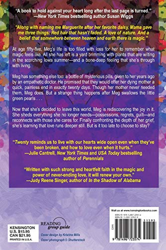 Twenty: A Touching and Thought-Provoking Women's Fiction Novel Engle, Debra Landwehr