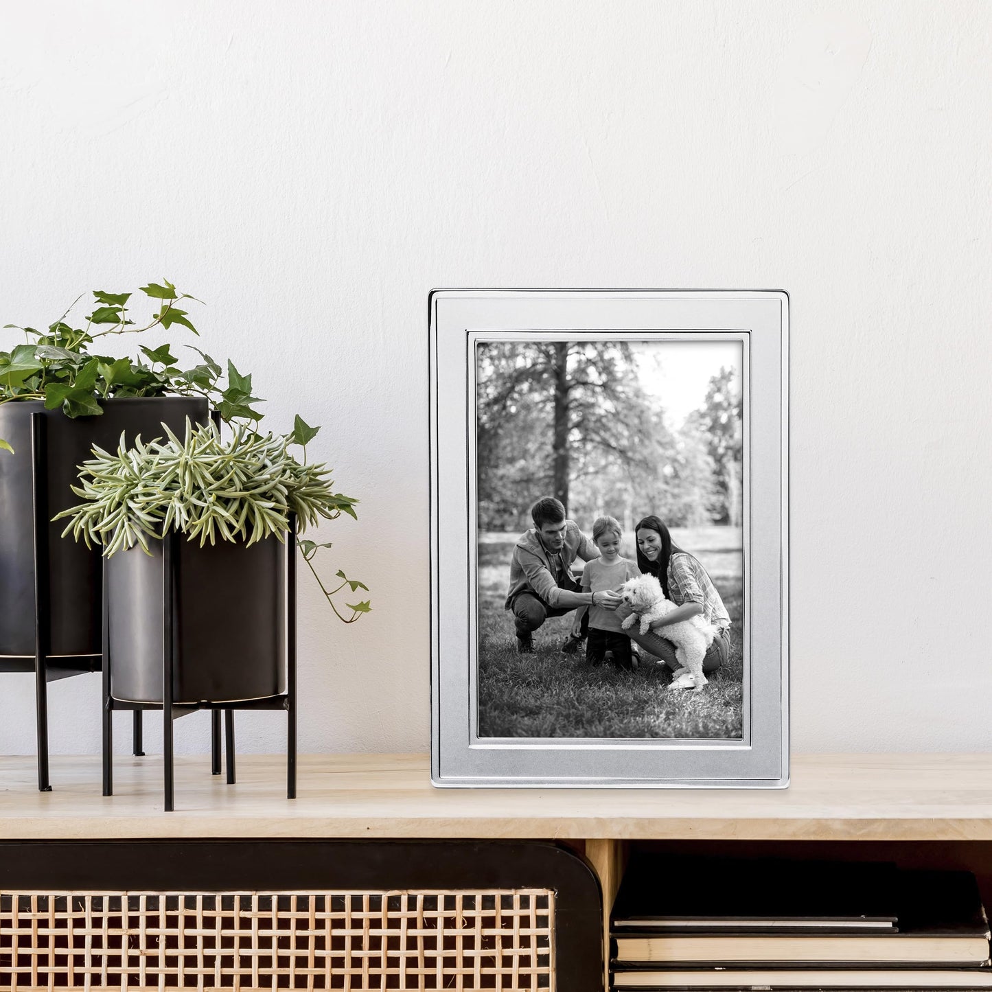 Siena Dbl Border Plain Frame Silver 2x3