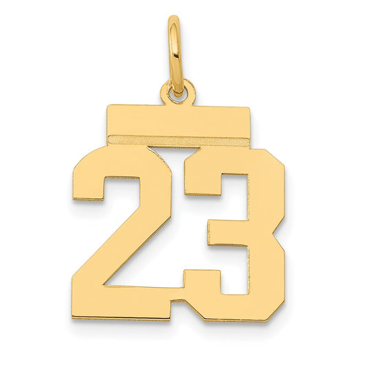 14k Small Polished Number 23 Charm
