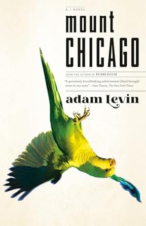 Mount Chicago: A Novel [Hardcover] Levin, Adam