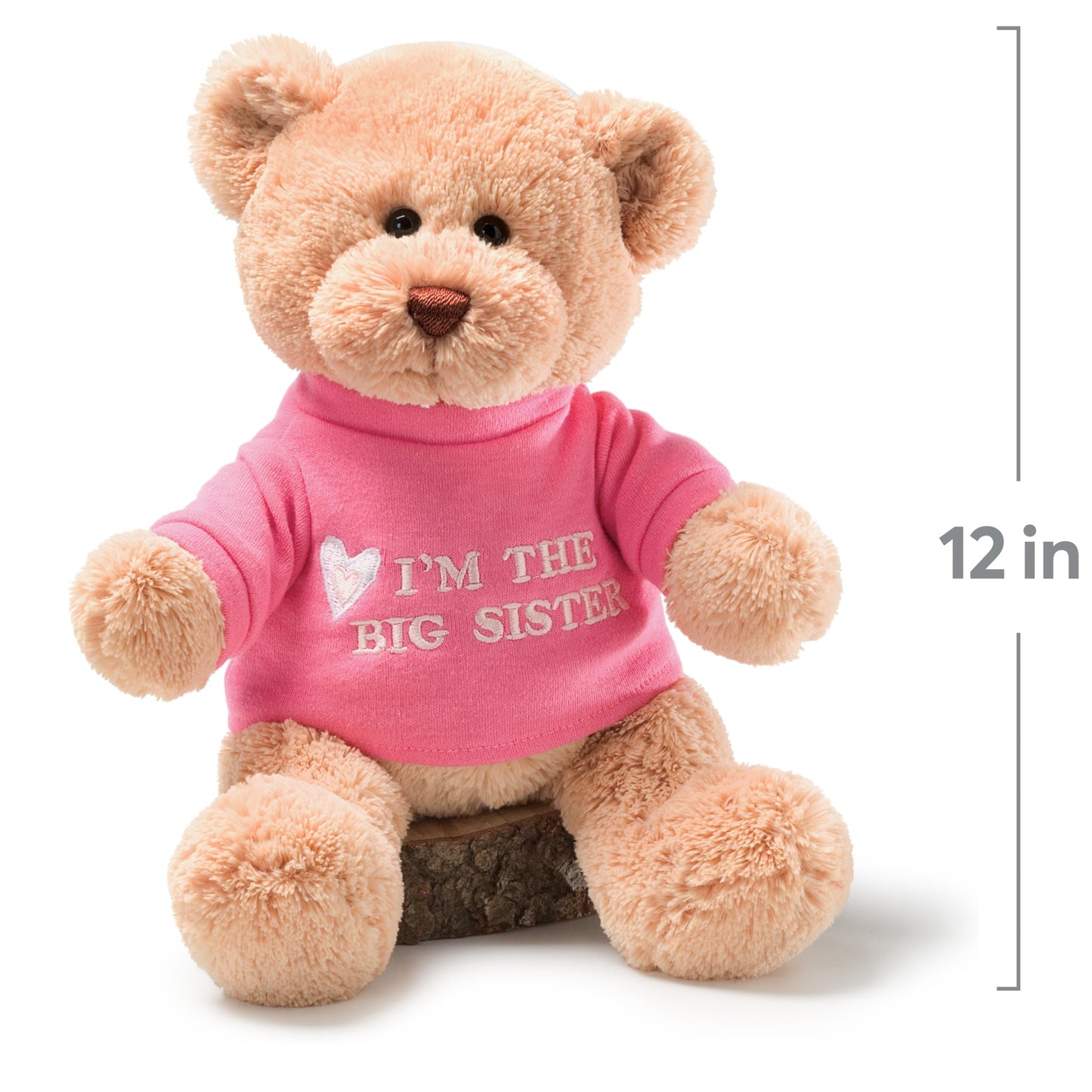 Baby Gift Idea G320154 Gund Im The Big Sister Teddy Bear