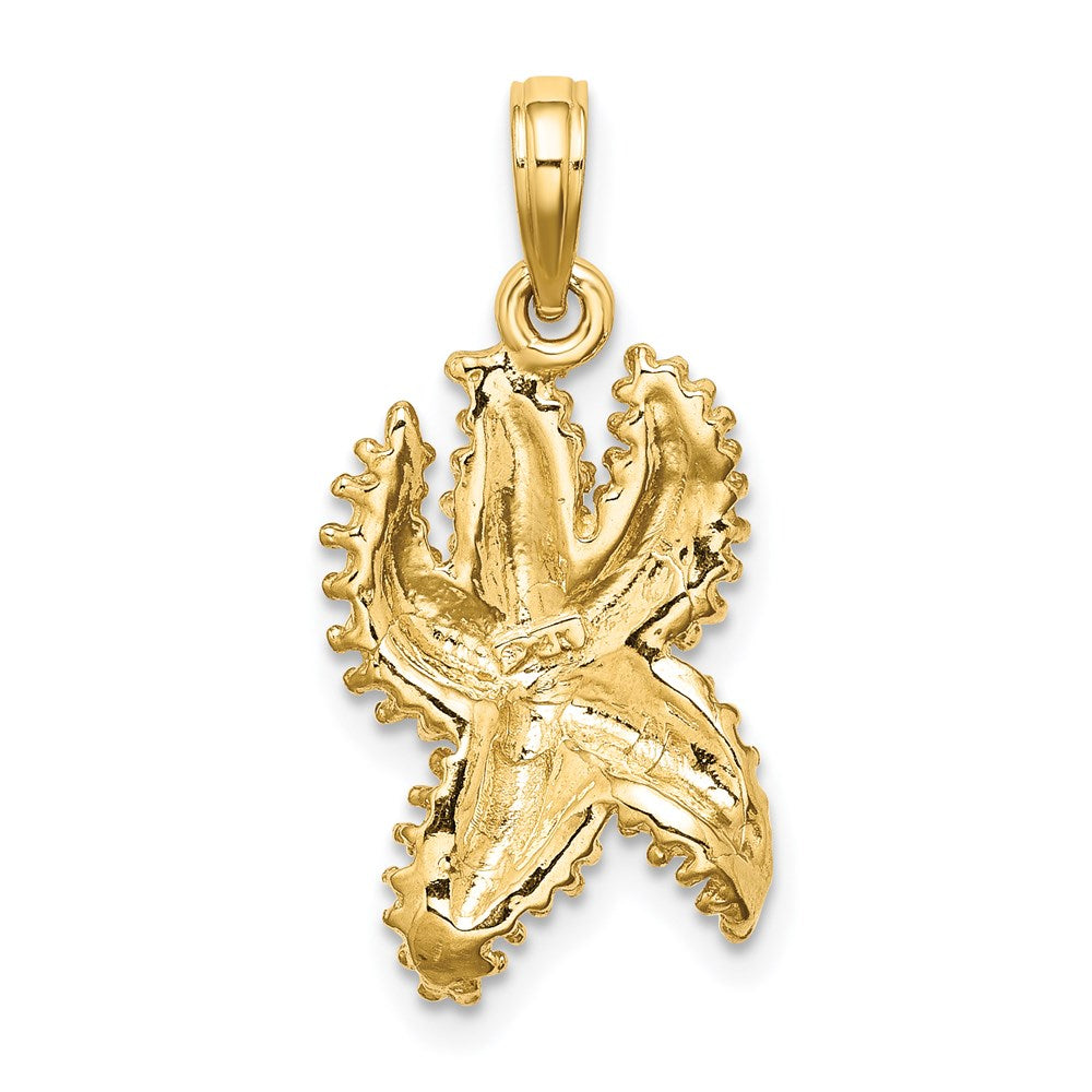 14K Textured Starfish Charm