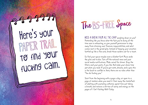 I Can't F*cking Adult Today: A Journal for the Days When You'd Rather Stay in Bed [Paperback] Sweeney, Monica