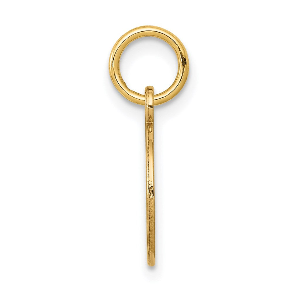 14k w/Enamel .027 Gauge Circular Engravable Disc Charm