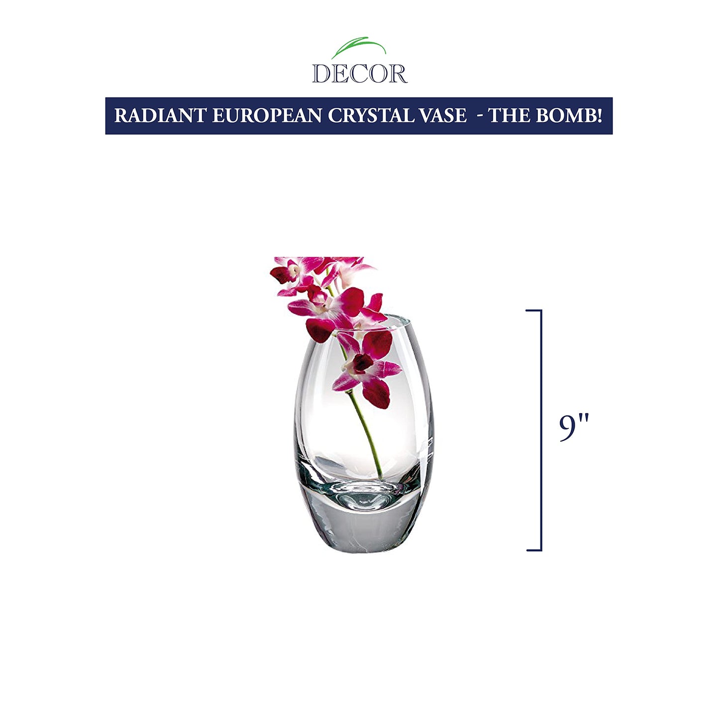 Badash Radiant Handcrafted Lead-free Crystal Vase QGP4083