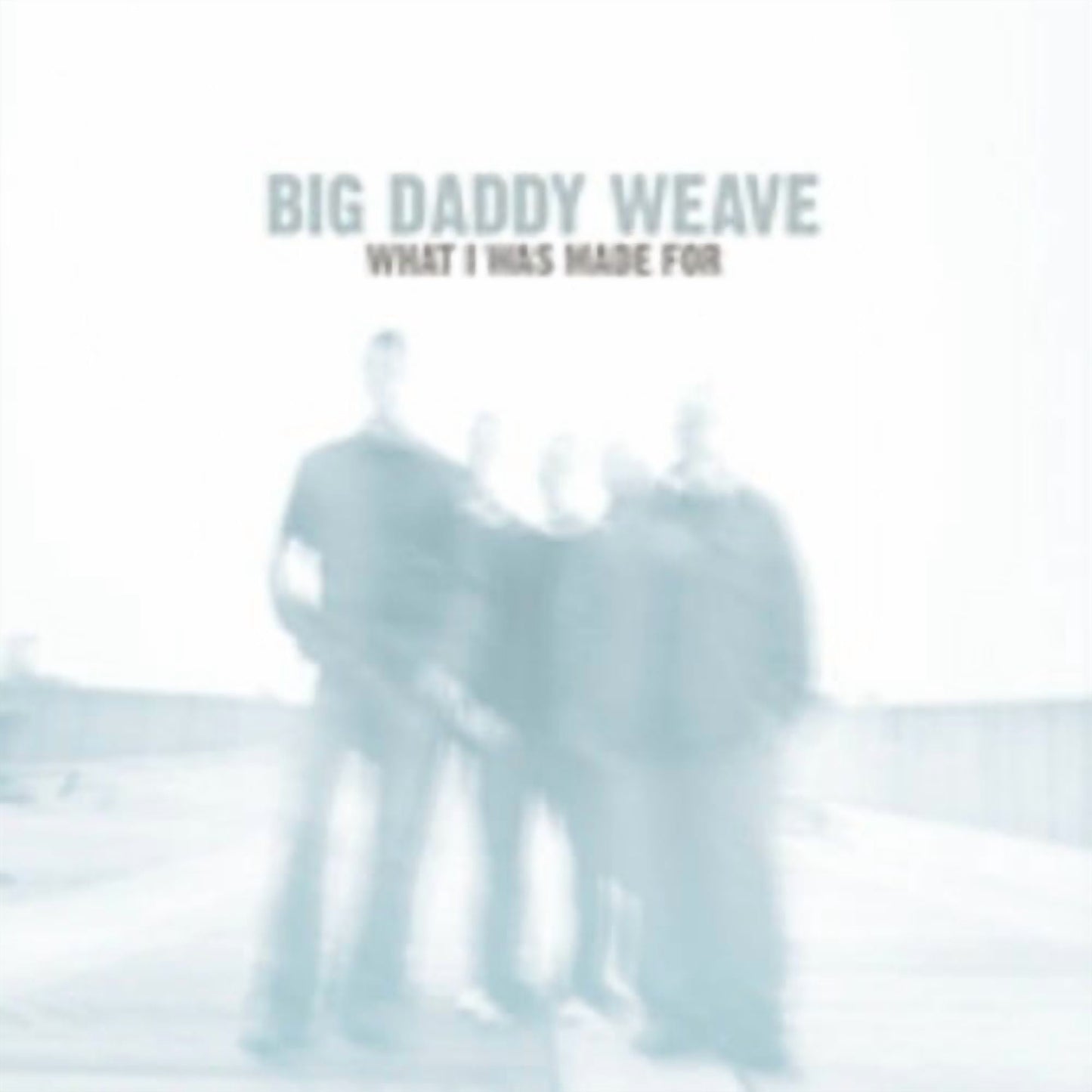 Big Daddy Weave - What I Was Made for - Music & Performance - CD