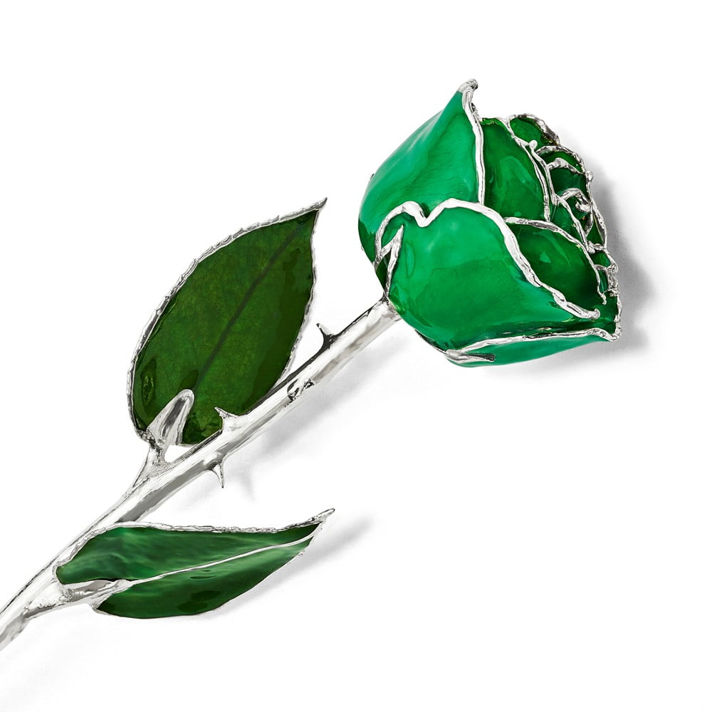 Lacquer Dipped Silver Trim Green Rose